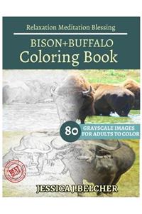 Bison+buffalo Coloring Books