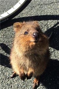 Super Cute Quokka Journal