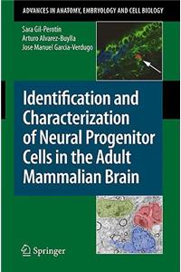 Identification and Characterization of Neural Progenitor Cells in the Adult Mammalian Brain