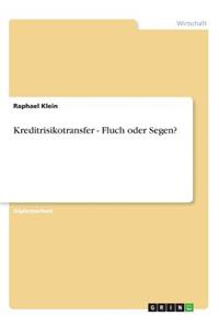 Kreditrisikotransfer - Fluch oder Segen?