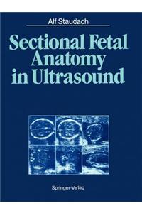 Sectional Fetal Anatomy in Ultrasound
