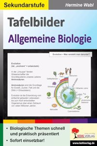 Tafelbilder Allgemeine Biologie
