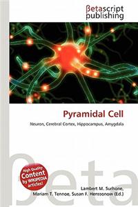 Pyramidal Cell