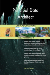 Principal Data Architect Critical Questions Skills Assessment