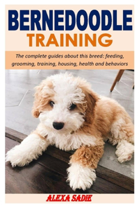 Bernedoodle Training