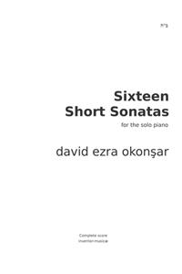 Sixteen Short Sonatas For The Solo Piano