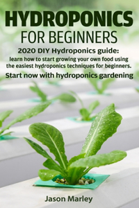 Hydroponics for beginners