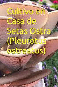 Cultivo en Casa de Setas Ostra (Pleurotus ostreatus)