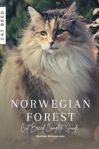 Norwegian Forest