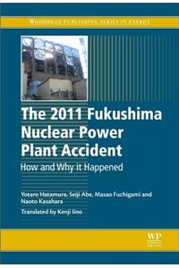The 2011 Fukushima Nuclear Power Plant Accident