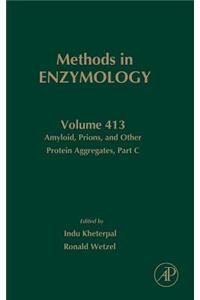 Amyloid, Prions, and Other Protein Aggregates, Part C