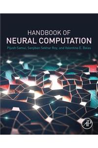 Handbook of Neural Computation