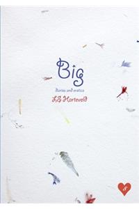 Big diaries and erotica