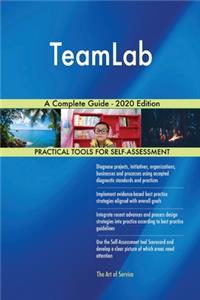 TeamLab A Complete Guide - 2020 Edition