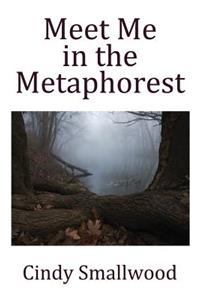 Meet Me in the Metaphorest