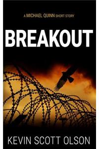 Breakout: A Michael Quinn Short Story