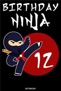 Birthday Ninja 12