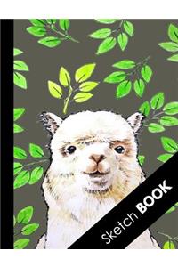 Sketch Book