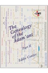 The Genealogy of the Adamant