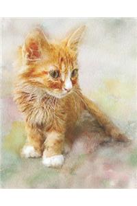 2019-2020 Academic Planner Weekly and Monthly Cute Cat