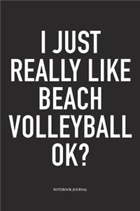 I Just Really Like Beach Volleyball Ok?