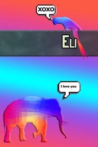 Colorful Jungle Eli