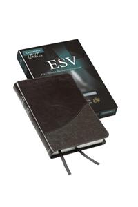 Pitt Minion Reference Bible-ESV