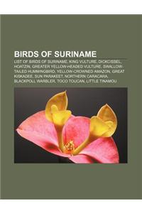 Birds of Suriname: List of Birds of Suriname, King Vulture, Dickcissel, Hoatzin, Greater Yellow-Headed Vulture, Swallow-Tailed Hummingbir