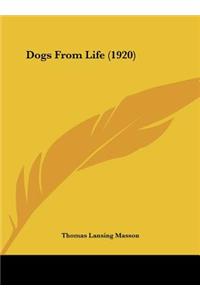 Dogs From Life (1920)