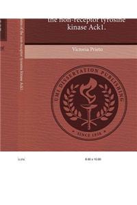 Regulatory Mechanisms of the Non-Receptor Tyrosine Kinase Ack1