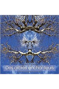 Des arbres enchanteurs 2018