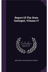 Report of the State Geologist, Volume 17
