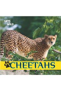 Cheetahs
