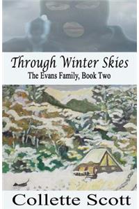 Through Winter Skies