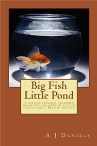 Big Fish Little Pond