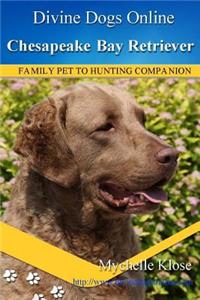 Chesapeake Bay Retrievers