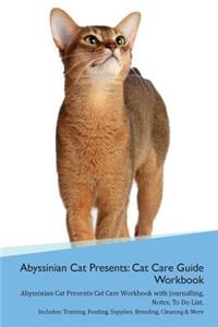 Abyssinian Cat Presents