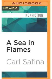 Sea in Flames