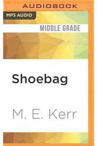 Shoebag