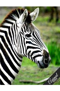 Animal Notebook Collection