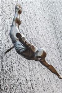 High Diving Sports Journal