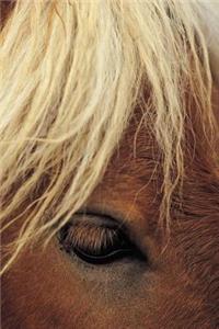 Journal Horse White Mane Equine: (Notebook, Diary, Blank Book)