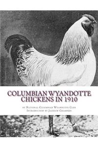 Columbian Wyandotte Chickens in 1910