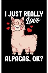 I Just Really Love Alpacas, OK?