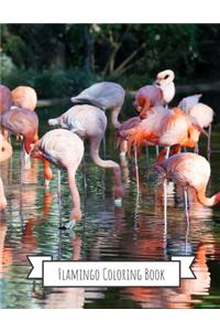 Flamingo Coloring Book