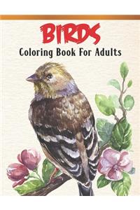 Birds Coloring Book For Adults