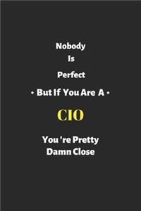 Nobody is perfect but if you are a CIO you're pretty damn close