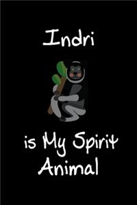 Indri is My Spirit Animal