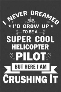 I Never Dreamed to be a Super Cool Helicopter Pilot