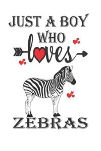 Just a Boy Who Loves Zebras